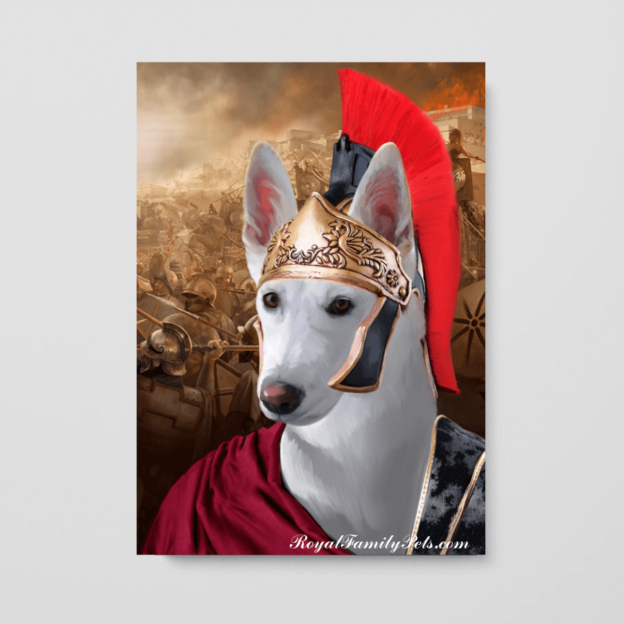 "Roman soldier" style - Custom Pet Canvas